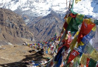 Annapurna Basislager Kurztrek, 10 Tage