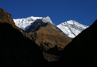 Trek court du camp de base de l'Annapurna, 10 Jours