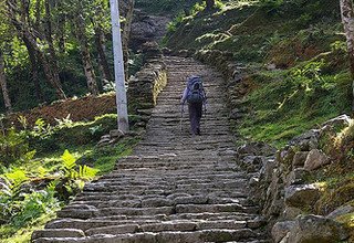 Trek court du camp de base de l'Annapurna, 10 Jours