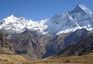 Annapurna Basislager Kurztrek, 10 Tage