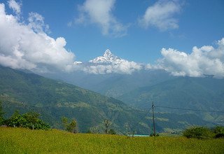 Trek court du camp de base de l'Annapurna, 10 Jours