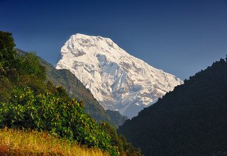 Trek court du camp de base de l'Annapurna, 10 Jours