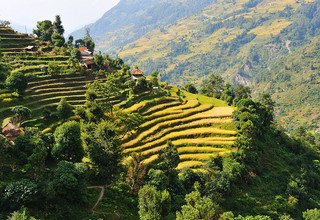 Annapurna Basislager Kurztrek, 10 Tage