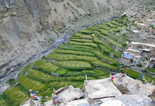 Nar Phu-Tal Trek kombinierte Annapurna-Runde, 18 Tage