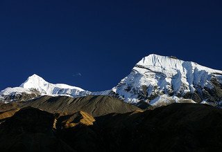 Escalade de Tharpu Chuli | Pic Tent 5695m | 17 Jours