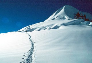 Escalade de Tharpu Chuli | Pic Tent 5695m | 17 Jours