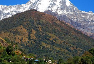 Hiunchuli Peak Climbing, 18 Days 