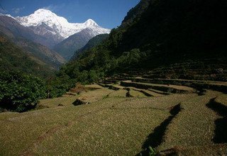 Hiunchuli Peak Climbing, 18 Days 