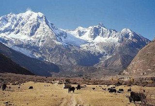 Besteigung des Mardi Himal | Mardi Himal Gipfel 5553m | 19 Tage