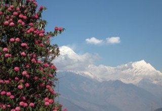 Milke Danda (région de Makalu-Kanchenjunga) faire du camping trek, 15 jours