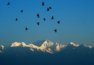 Trek du camp de base de Kanchenjunga, 24 Jours