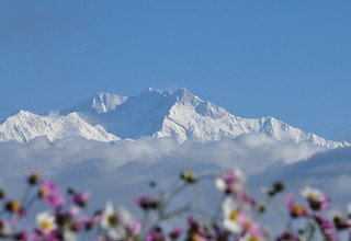 Kanchenjunga Basislager Trekking, 24 Tage