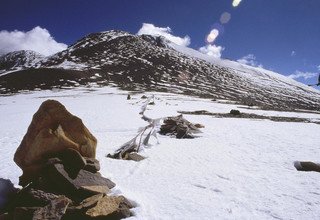 Besteigung des Dhampus Peak | Thapa Gipfel 6012m - 20 Tage