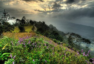 Dhampus Peak Climbing, 20 Days