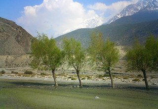 Circuit du Dhaulagiri Trekking traversée French Pass, 17 Jours