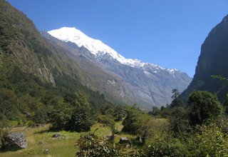 Langtang Tal Trek, 11 Tage (klassische Route)