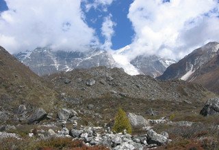 Langtang Tal Trek, 11 Tage (klassische Route)