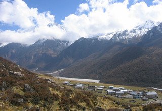 Langtang Tal Trek, 11 Tage (klassische Route)