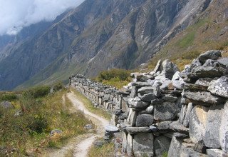 Trek de la vallée du Langtang, 11 Jours (itinéraire classique)