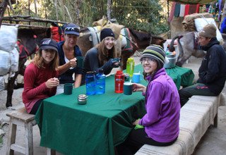 Trek dans la vallée du Langtang pour les familles, 10 Jours