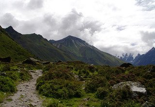 Besteigung des Yala Peak | Yala Gipfel 5500m | 14 Tage