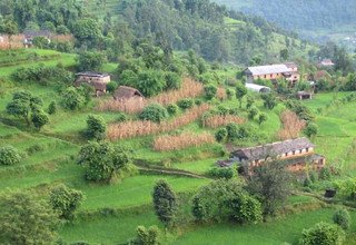 Tour de village Sirubari, 10 jours