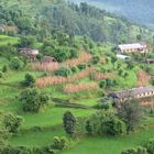 Tour de village Sirubari, 10 jours