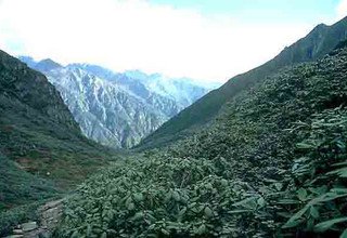 Trek du camp de base de Makalu, 20 Jours