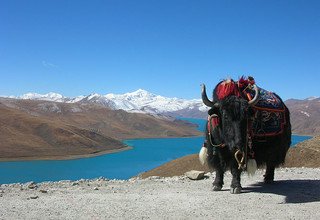 Tibet Lhasa Tour mit Namtso See, 7 Tage (Private Tour)