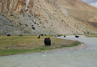 Tibet Lhasa EBC Kailash Kathmandu Überlandtour, 14 Tage (Privat-Tour)