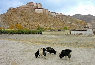 Tibet Lhasa EBC Kailash Kathmandu Überlandtour, 14 Tage (Privat-Tour)