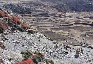 Nar Phu Valley Trek traverse Tilicho Lake and Mesokanto-La Pass, 18 Days