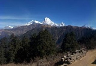 Mohare Danda Trek pour les familles (sentier écologique communautaire), 10 Jours