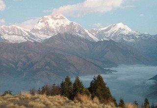 Mohare Danda Trek für Familien (Öko-Pfad der Gemeinschaft), 10 Tage