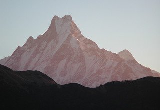 Mohare Danda Trek für Familien (Öko-Pfad der Gemeinschaft), 10 Tage