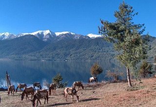 Rara See, Campingtrek, 17 Tage