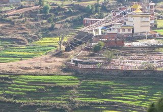 Buddhist Pilgrimage Tour to Buddha's Birthplace