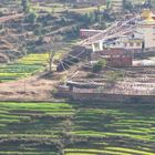 Buddhist Pilgrimage Tour to Buddha's Birthplace