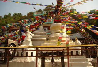 Buddhist Pilgrimage Tour to Buddha's Birthplace
