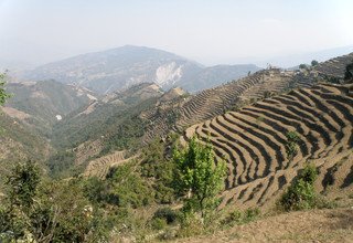 Trek du circuit du patrimoine d'Helambu, 9 Jours