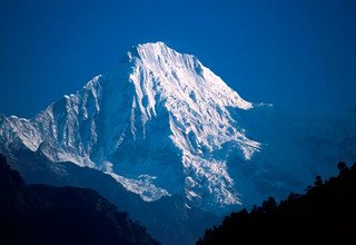 Ganesh Himal Camping Trek via Singla Bhanjyang, 22 Days