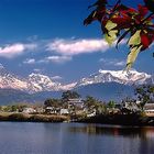 Sightseeing Tour to Pokhara, Tansen and Lumbini 13 Days Including Jungle Safari in Bardiya National Park