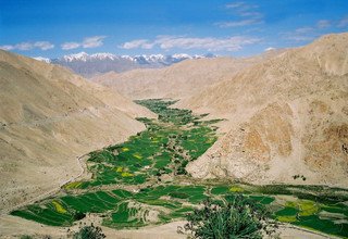 Randonnée en camping dans la vallée de Humla Changla, 24 Jours