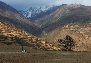 Randonnée en camping dans la vallée de Humla Changla, 24 Jours