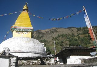 Salpa Hoch Pass Trekking, 15 Tage