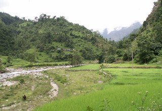 Salpa Hoch Pass Trekking, 15 Tage