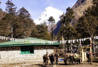 Jomolhari Trek with a Culture Tour of Paro and Thimphu, 12 Days