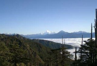 Druk Trek