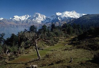 Tour de village Ghale Gaune (home-stay), 9 jours