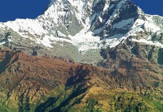 Machhapuchhre Modell Trekking, 8 Tage